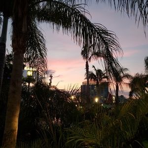 Come check out my closet! Offers welcome! 🌴